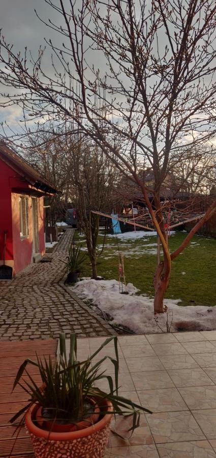 Casa Terzea 호텔 Rîşnov 외부 사진