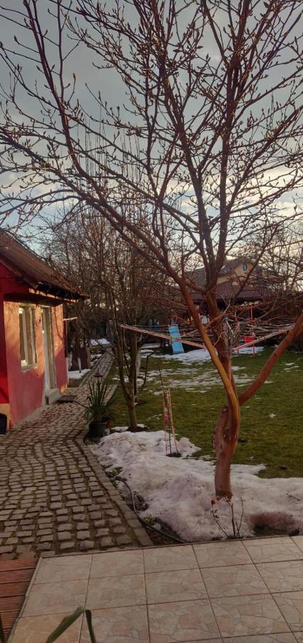 Casa Terzea 호텔 Rîşnov 외부 사진